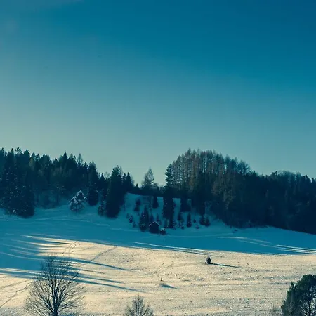 Daire Lajkonik Jaworki