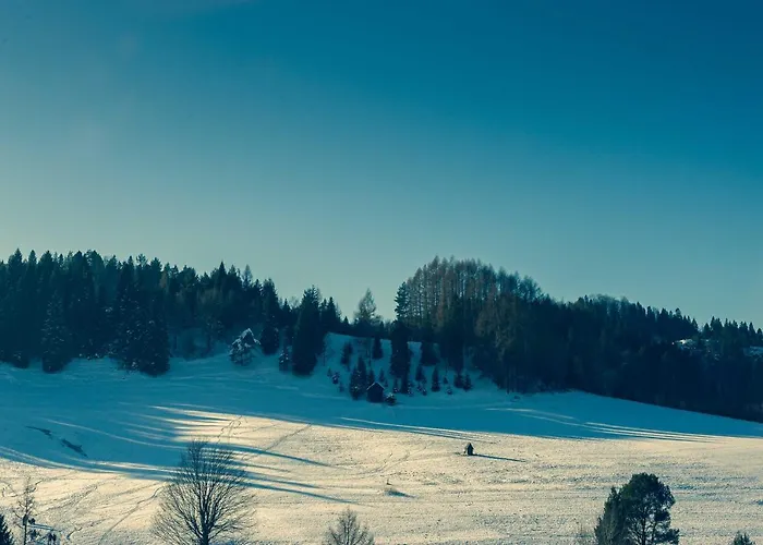 Apartmán Lajkonik Jaworki